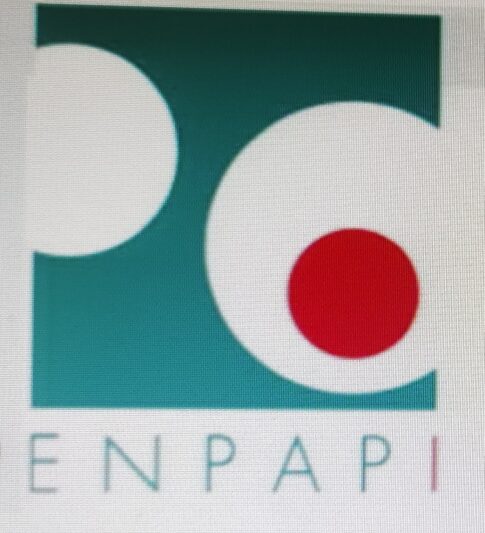 ENPAPI – Elezioni per il rinnovo degli Organi Collegiali Quadriennio 2024-2028
